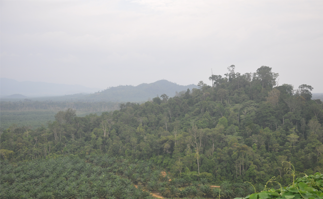Komitmen Cegah Korupsi dan Tingkatkan Transparansi Kementan