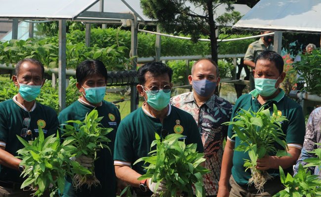 Optimalkan Pekarangan Pangan Lestari, Atasi Masalah Pengangguran