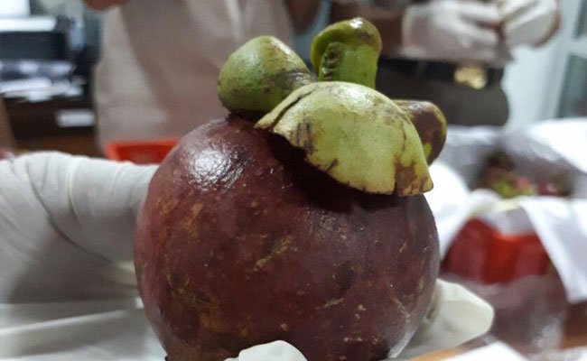 Professor of IPB: Import Policy Should Consider the Farmers’ Interests