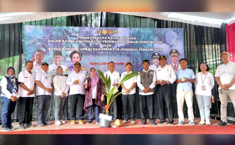 Kelapa Genjah Jadi Andalan Baru Bantul: Kementan Pacu Hilirisasi untuk Sejahterakan Petani