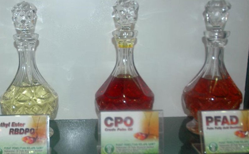 Harga CPO KPBN Inacom Senin (24/11) Anteng di Rp 14.025/kg, Bursa Malaysia Masih Tertekan