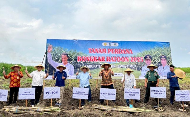 Kementan Mulai Tanam Perdana Tebu di Gresik, Dorong Swasembada Gula dan Hilirisasi Energi