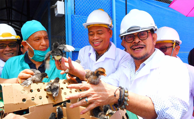 Mentan SYL Dorong Pembibitan Ayam Kampung Berbasis Pemberdayaan Masyarakat