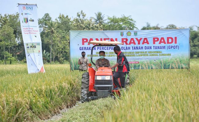 Governor of Lampung Would Prioritize the Agricultural Development Totally