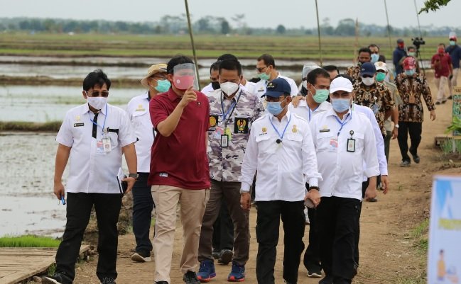 SYL: Food Estate within Modern Agricultural Technology