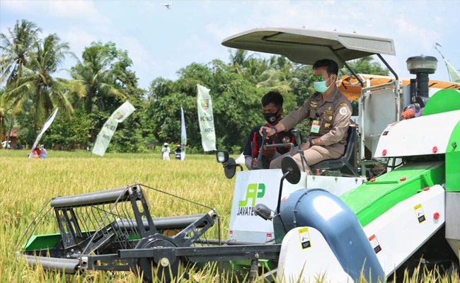 SYL: Lampung is as the Food Provider Nationally