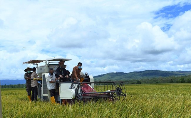 SYL Monitored the Productivity System in Pulau Buru