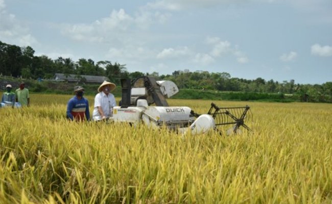 This Month: FER of the Agriculture Significantly Increased