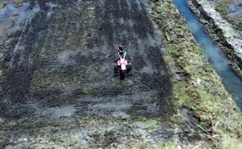 Tanah Laut Bangkitkan Lahan Tidur, Kementan Genjot Program Cetak Sawah untuk Swasembada Pangan