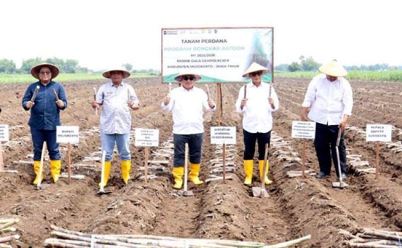 Revitalisasi Tebu 2025: Kementan dan PTPN Dorong Produksi Gula Berkelanjutan di Jawa Timur