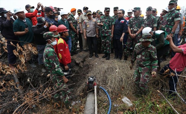 Jarang Ditemukan, Karhutla di Perkebunan Kelapa Sawit dan HTI  