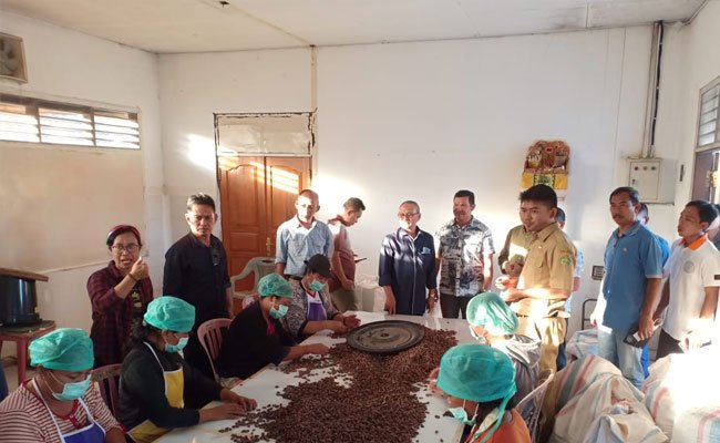 Pabrik Coklat Valrhona Perancis Tertarik Kakao Fermentasi Indonesia