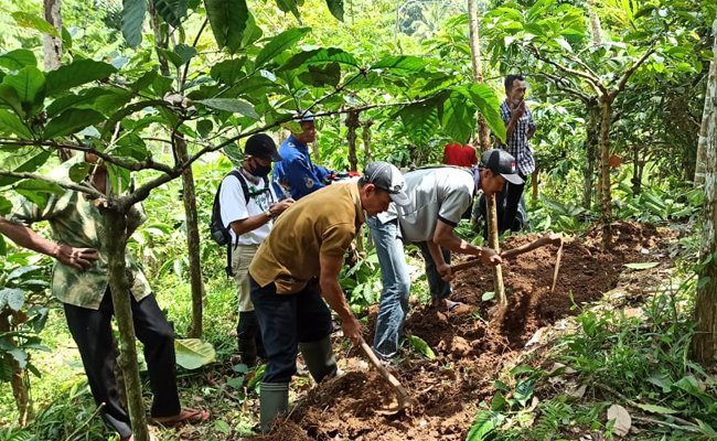 Facing the Climate Change, Ministry of Agriculture Implements the Conservation Agricultural System in the Plantations