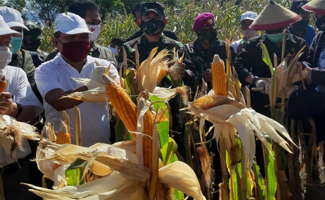 Kementan Dukung Kalbar Gerakan Pengendalian Hama Ramah Lingkungan