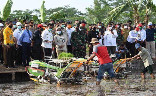 Mentan Dorong Percepatan Tanam di Lokasi Food Estate Kalimantan Tengah