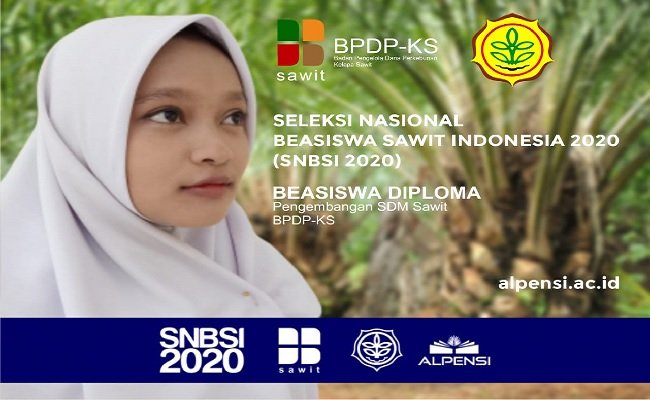 Peminat Beasiswa Sawit Sebanyak 3.387 Peserta, Dinyatakan Lulus 655 Orang