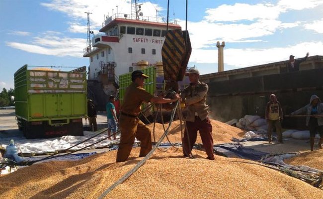 Tahun Ini, Grafik Kinerja Sektor Pertanian Meningkat Signifikan