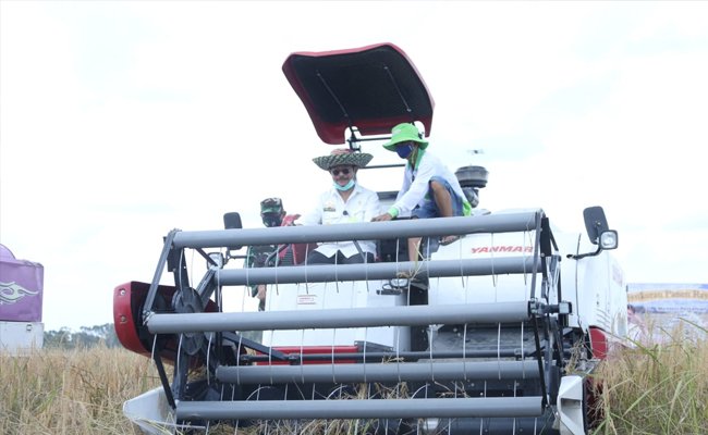 The Villagers and the Students of Central Kalimantan Support the Food Estate