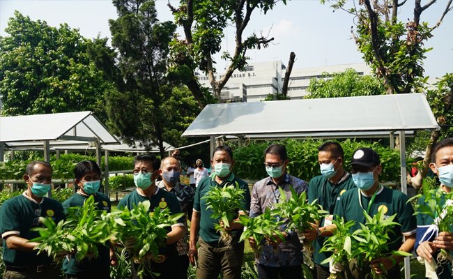 Yard Farming Would Realize the Agriculture as the Mainstay