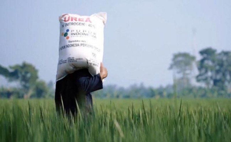 Kementan Pastikan Pupuk Bersubsidi Aman Jelang Musim Tanam OKMAR 2025