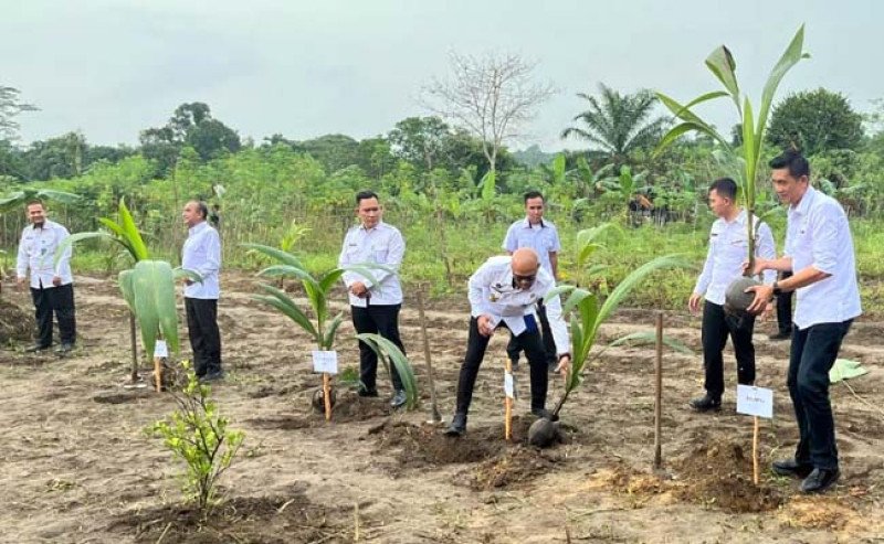 Dukung Ketahanan Pangan Nasional, Lapas Tanjungpandan dan Imigrasi Tanam 200 Bibit Kelapa