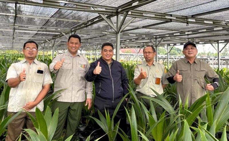 Ditjen Perkebunan Dorong Kemandirian Benih dan Penguatan Industri Gula Nasional