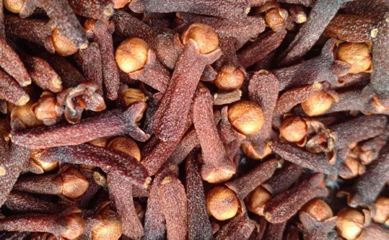 Temuan Radiasi pada Cengkeh Jadi Peringatan bagi Gagasan Ekonomi Hijau